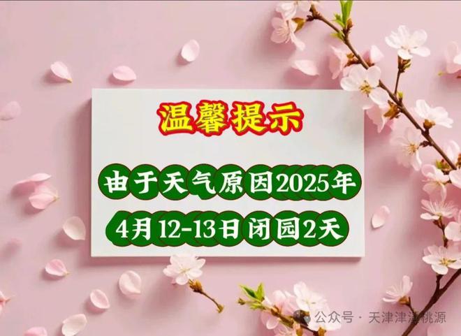 天津最新起风时间！停课！闭店！暂停开放！尊龙凯时ag旗舰厅网站9级大风刮到北京！(图5)