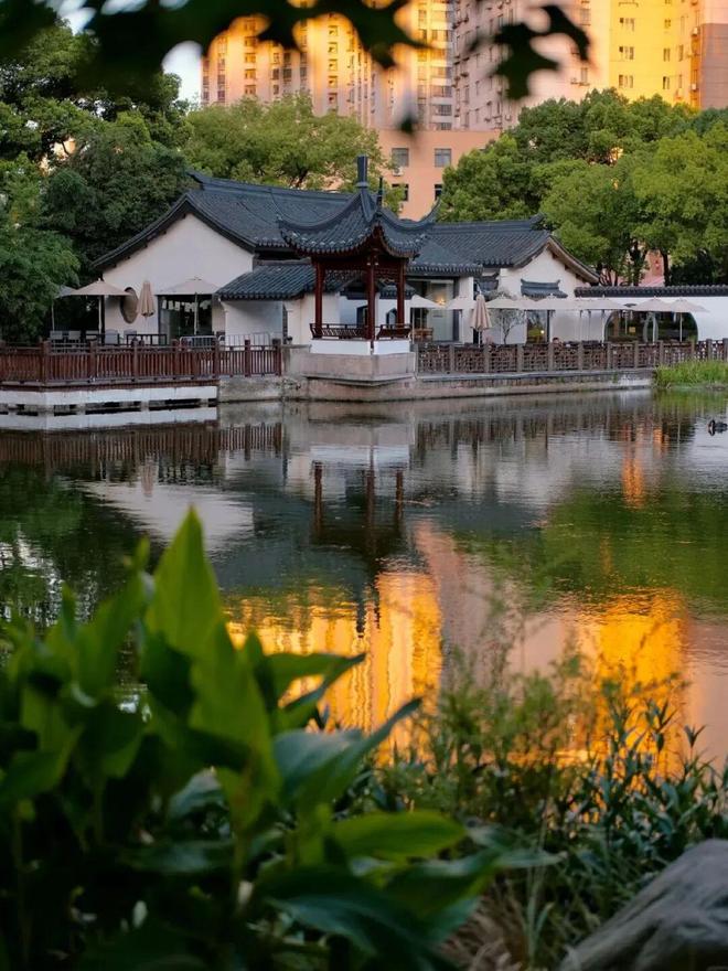 处发布：金茂璞元稀缺藏品奢宅范本！尊龙凯时APP百度头条金茂璞元售楼(图43)