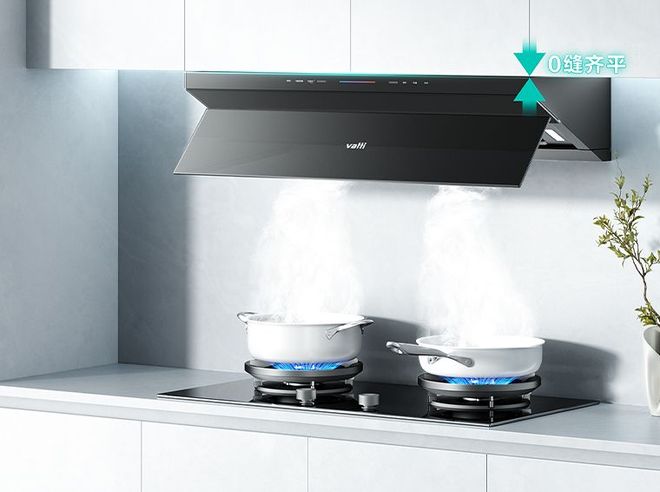 品牌有什么？华帝成立30多年尊龙凯时链接中国厨电一线十大(图3)